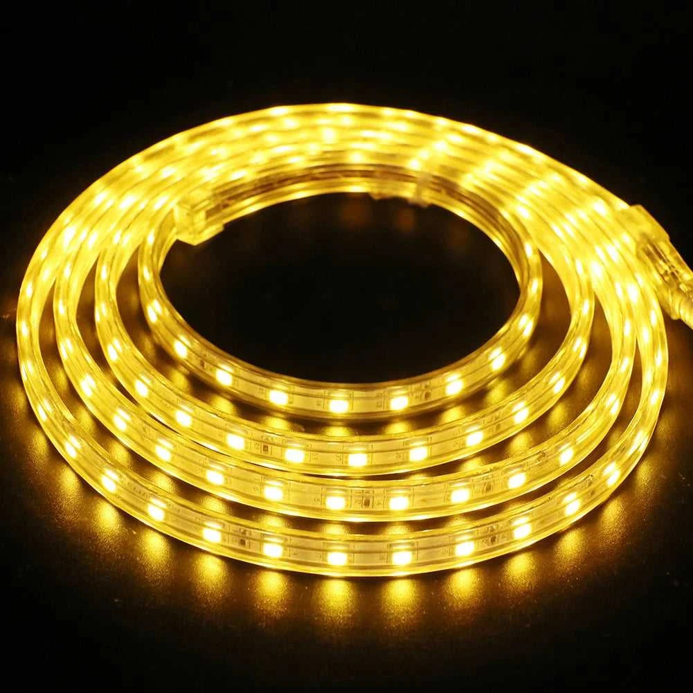AC 220V LED Strip 60LEDs/m 5050 IP67 Waterproof Outdoor Decoration Red Green Blue Yellow White Flexible Ribbon Tape LED Strip The jack market .AU The jack market .AU Home $ 68 136:29;14:29#EU 220V;200007763:201336100;249:200006309#5m