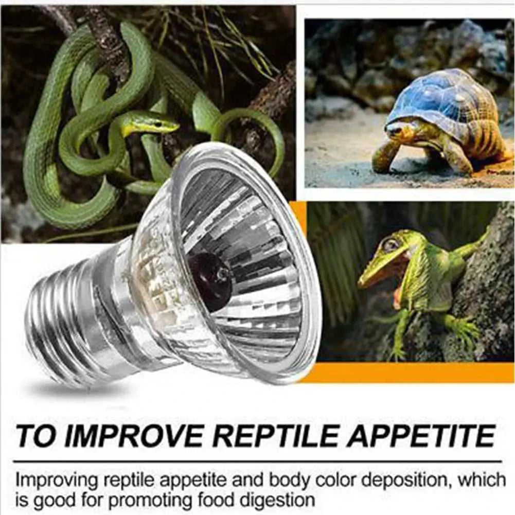 220V 25/50/75W UVA+UVB Reptile Lamp Bulb Turtle Basking UV Light Bulbs Heating Lamp Amphibians Lizards Temperature Controller The jack market .AU The jack market .AU Home $ 22 14:200002984#50W red light UVA