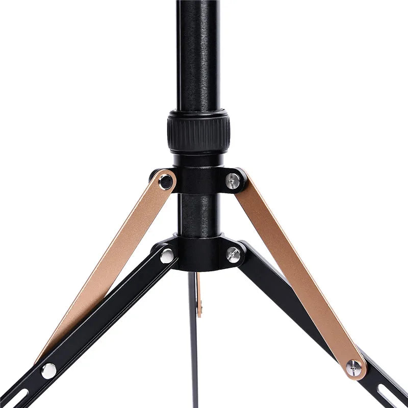 Fosoto FT-190B Gold Led Light Tripod Stand Bag 2.22m Softbox For Photo Studio Photographic Lighting Flash Umbrellas Reflector