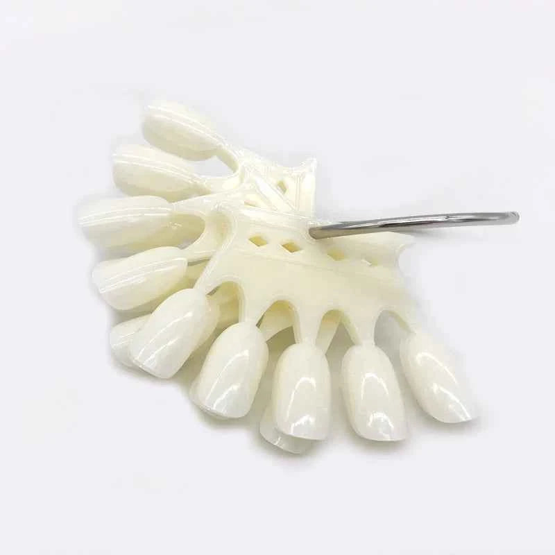 50 Tips Nail Art Display False Nail Tips Crown Fake Nails Polish Clear Nature Color Card Acrylic Practice Chart Palette Art Ring