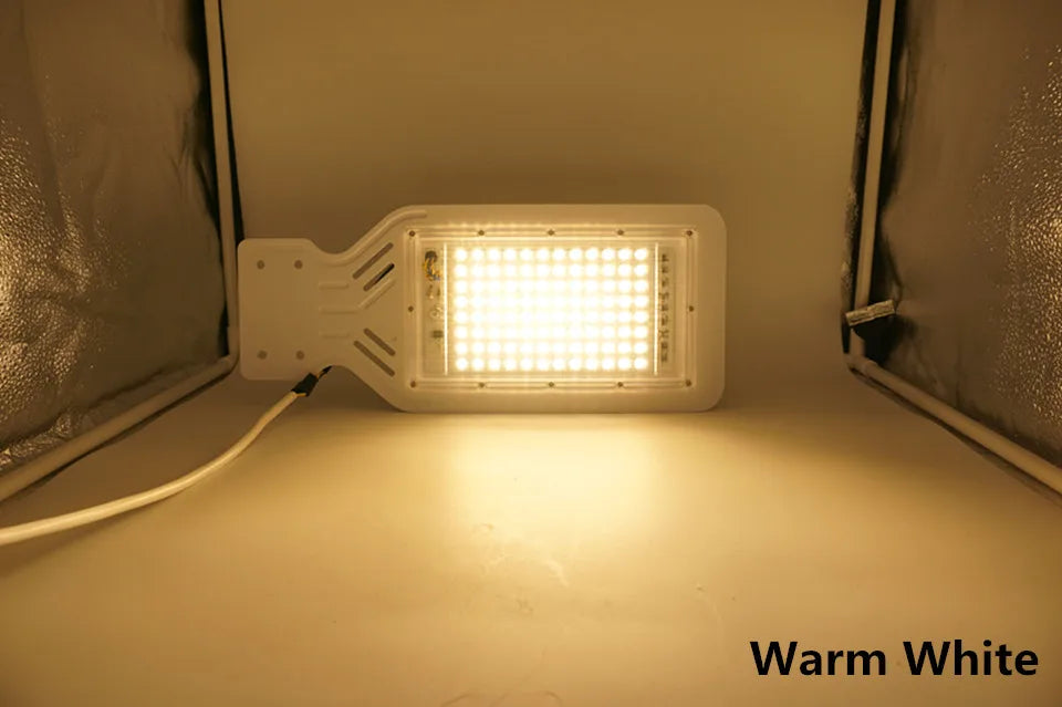 LED Street Lamp 100W AC 110V 220V 230V 240V Outdoor Floodlight Spotlight IP65 Waterproof Garden Road Street Pathway Pole Lights - Jack market 1988Jack Market 1988