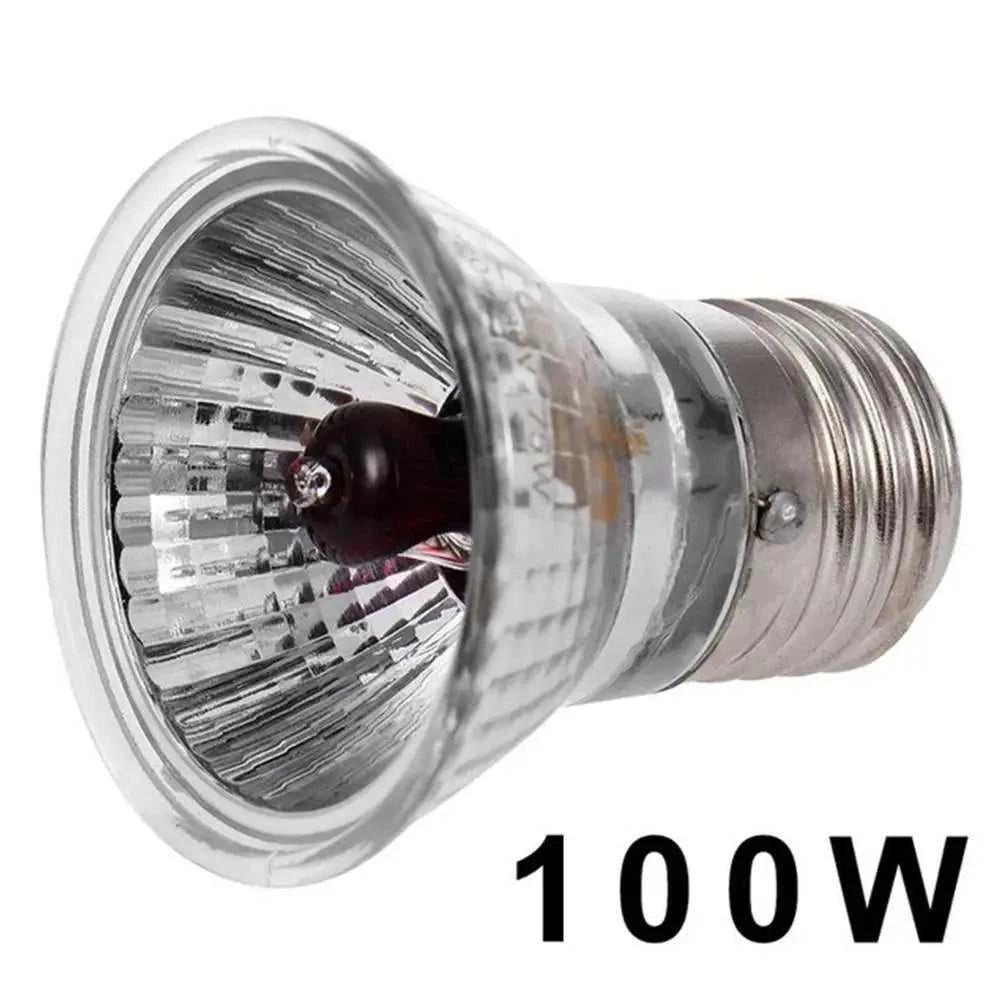 220V 25/50/75W UVA+UVB Reptile Lamp Bulb Turtle Basking UV Light Bulbs Heating Lamp Amphibians Lizards Temperature Controller The jack market .AU The jack market .AU Home $ 22 14:200002984#50W red light UVA