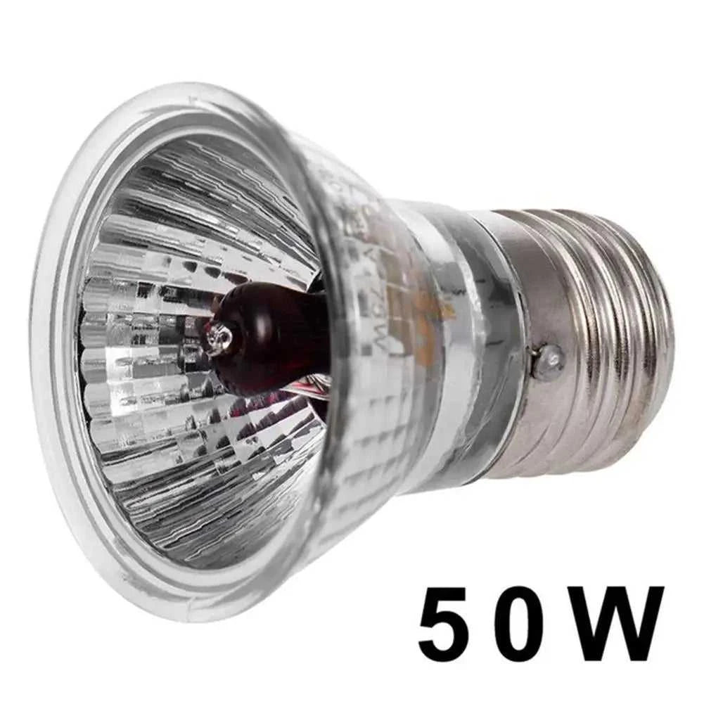 220V 25/50/75W UVA+UVB Reptile Lamp Bulb Turtle Basking UV Light Bulbs Heating Lamp Amphibians Lizards Temperature Controller The jack market .AU The jack market .AU Home $ 22 14:200002984#50W red light UVA