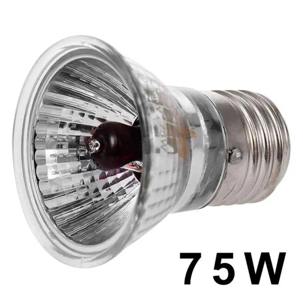 220V 25/50/75W UVA+UVB Reptile Lamp Bulb Turtle Basking UV Light Bulbs Heating Lamp Amphibians Lizards Temperature Controller The jack market .AU The jack market .AU Home $ 22 14:200002984#50W red light UVA