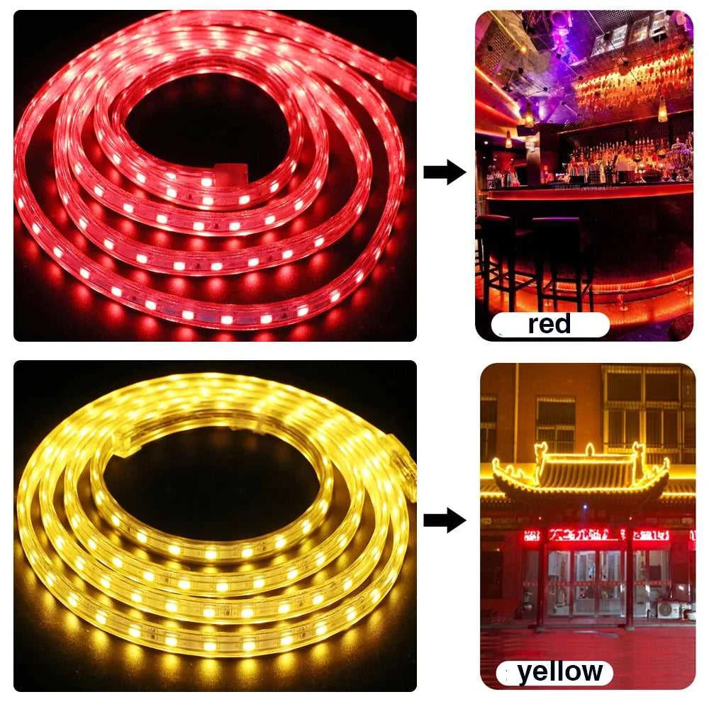 AC 220V LED Strip 60LEDs/m 5050 IP67 Waterproof Outdoor Decoration Red Green Blue Yellow White Flexible Ribbon Tape LED Strip The jack market .AU The jack market .AU Home $ 68 136:29;14:29#EU 220V;200007763:201336100;249:200006309#5m