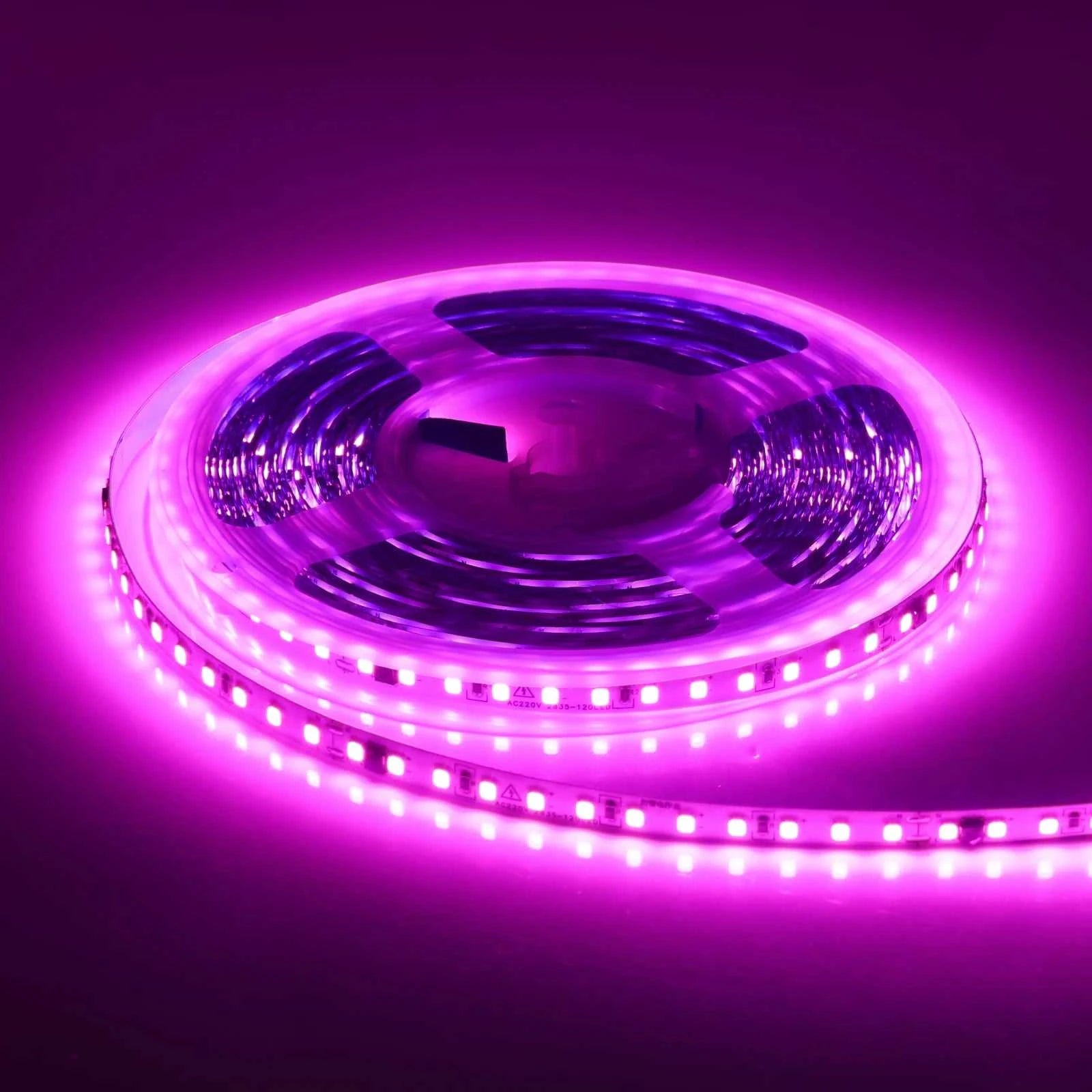 220V LED Strip Light 5m 10m 20m 50m Flexible LED Tape 2835 120LEDs IP44 Waterproof Light Bar White Warm Natural Ice Blue Pink The jack market .AU The jack market .AU Home $ 54 136:10#red;200007763:201336100;380:201301155