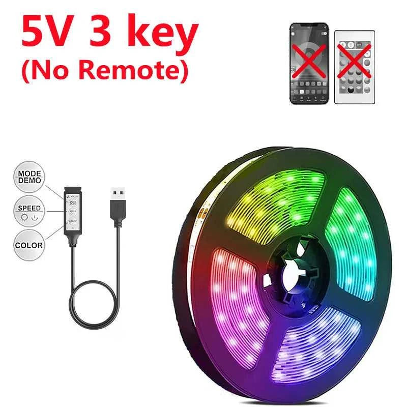 RGB 5050 DC5V USB 24Keys Bluetooth Led Strip Lights Tape With Remote Control Color Change Lamp for Christmas Bedroom Decoration The jack market .AU The jack market .AU Home $ 69 136:200004891#BT 24K;14:29#Not waterproof;380:6288#30m