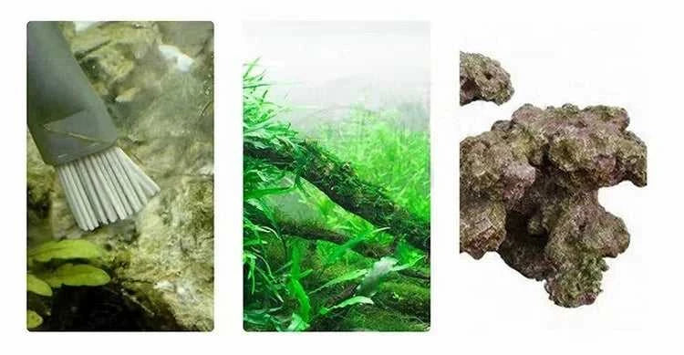 Aquapro Algae Brush Cleaning Tools Aquarium Accessories and Fish Tank Clean Brush Remover Stainless Steel Salt Fresh Water Plant The jack market .AU The jack market .AU Home $ 28 14:29#Pro Brush;5:100014064#23cm