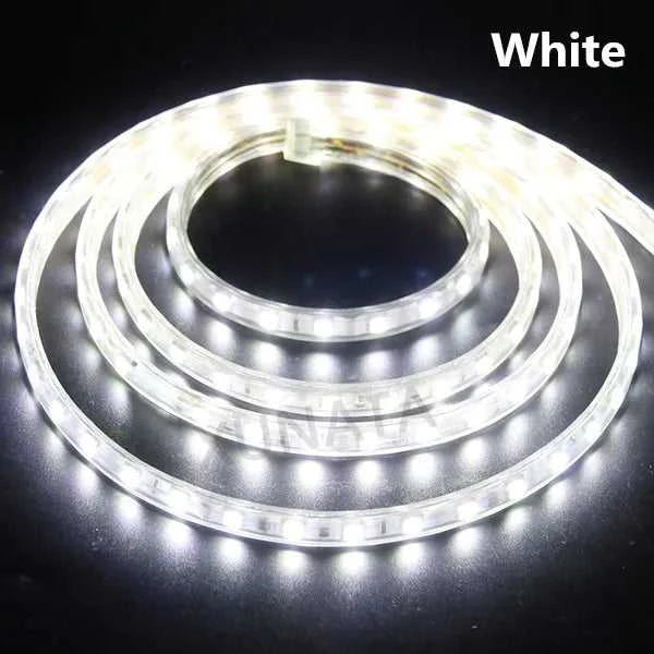 AC 220V LED Strip 60LEDs/m 5050 IP67 Waterproof Outdoor Decoration Red Green Blue Yellow White Flexible Ribbon Tape LED Strip The jack market .AU The jack market .AU Home $ 68 136:29;14:29#EU 220V;200007763:201336100;249:200006309#5m