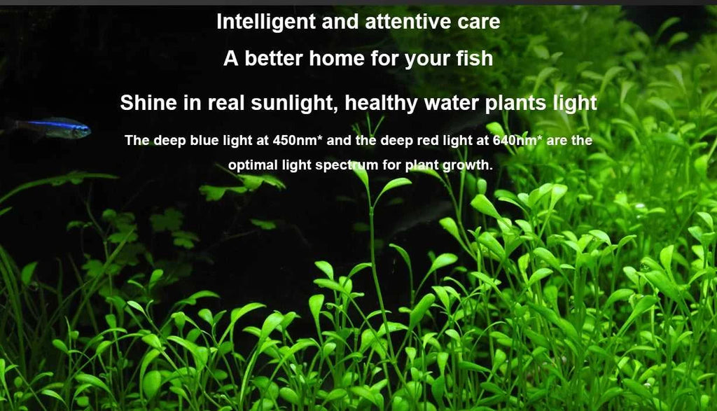 NEW MIJIA Smart Fish Tank MYG100 Work With Mijia APP Mobile Controlled Remote Feeding Smart Lighting System Light Aquarium20L The jack market .AU The jack market .AU Home $ 131 14:366#Add UK Adapter
