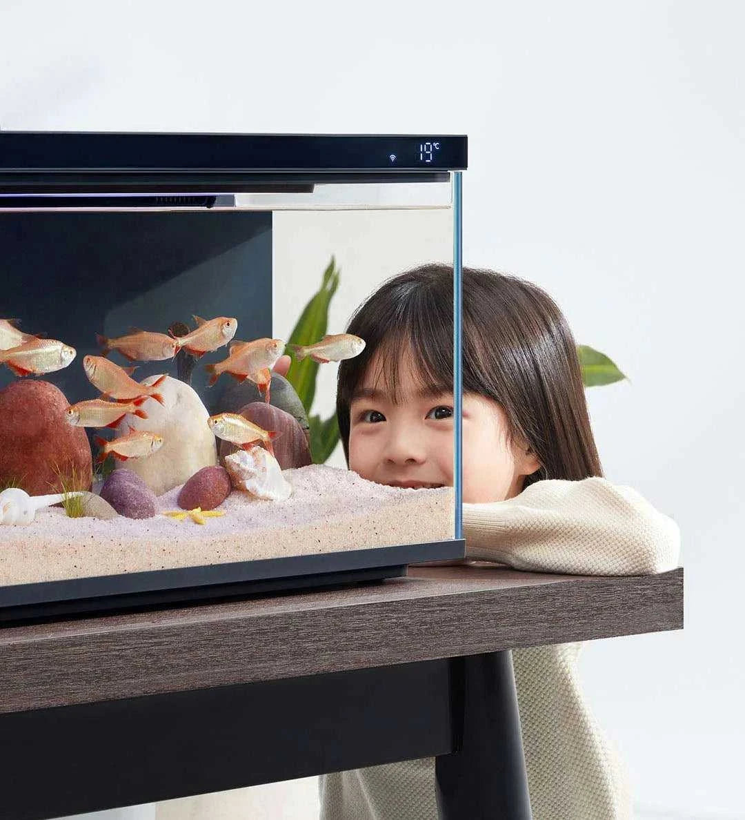 NEW MIJIA Smart Fish Tank MYG100 Work With Mijia APP Mobile Controlled Remote Feeding Smart Lighting System Light Aquarium20L The jack market .AU The jack market .AU Home $ 131 14:366#Add UK Adapter