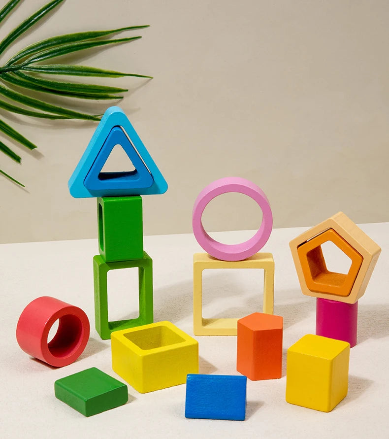 Montessori  Wooden Color Shape Cognitive Classification Matching Puzzle Children's Magnetic Fishing Learning Educational Toys