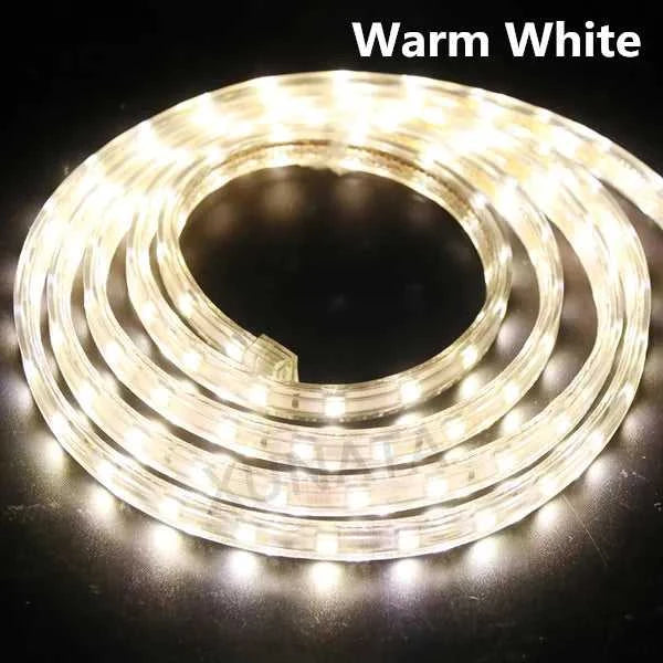 AC 220V LED Strip 60LEDs/m 5050 IP67 Waterproof Outdoor Decoration Red Green Blue Yellow White Flexible Ribbon Tape LED Strip The jack market .AU The jack market .AU Home $ 68 136:29;14:29#EU 220V;200007763:201336100;249:200006309#5m