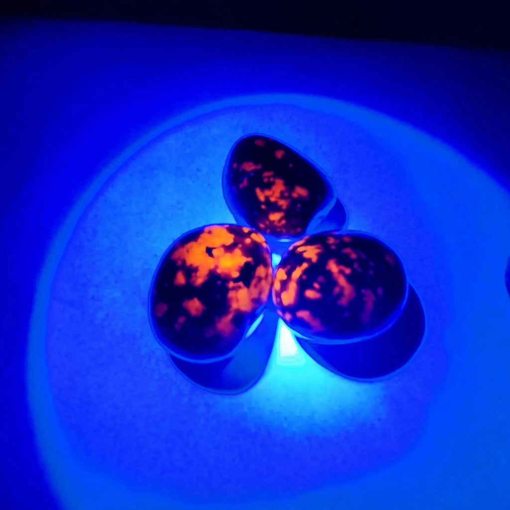 Natural Bright Yooperlites Flamestone UV Glowing Crystal Stone FireStone Fluorescent Sodalite Flame Stone Home Decoration Stone The jack market .AU The jack market .AU Home $ 22 14:200006152#about 100g;200007763:201336100;5:100014064#2-3cm