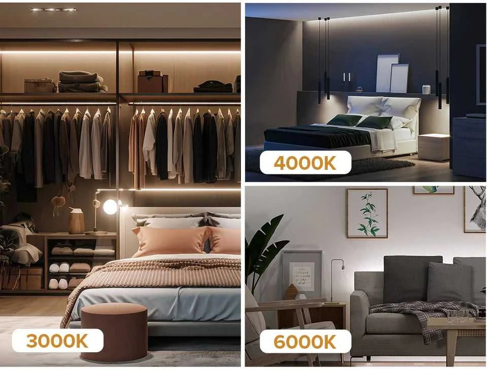 FCOB SPI RGBW IC LED Light Strip 896 LEDs WS2814 Addressable Dream Color 12mm DC24V SK6812 High Flexible FOB COB Lights Room Dec The jack market .AU The jack market .AU Home $ 61 136:9131278654#RGBWW;380:200746126