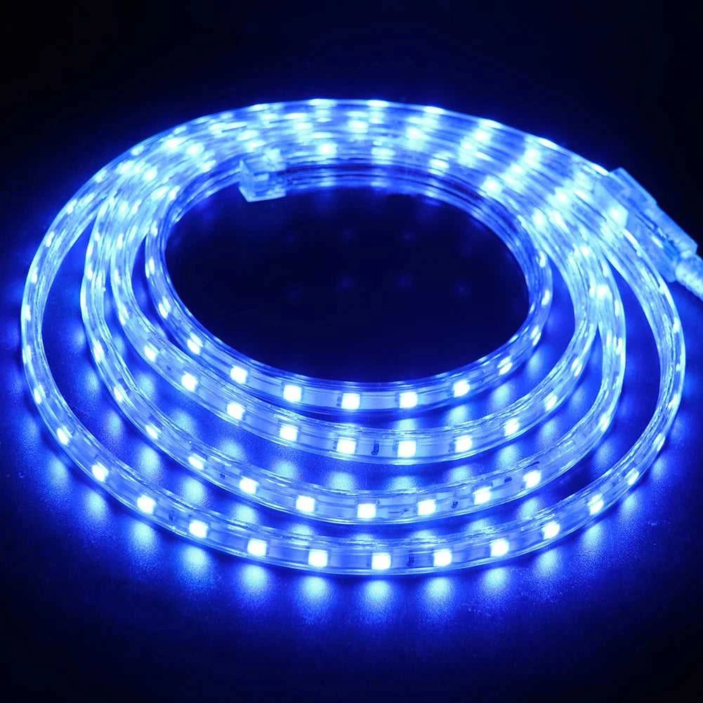 AC 220V LED Strip 60LEDs/m 5050 IP67 Waterproof Outdoor Decoration Red Green Blue Yellow White Flexible Ribbon Tape LED Strip The jack market .AU The jack market .AU Home $ 68 136:29;14:29#EU 220V;200007763:201336100;249:200006309#5m