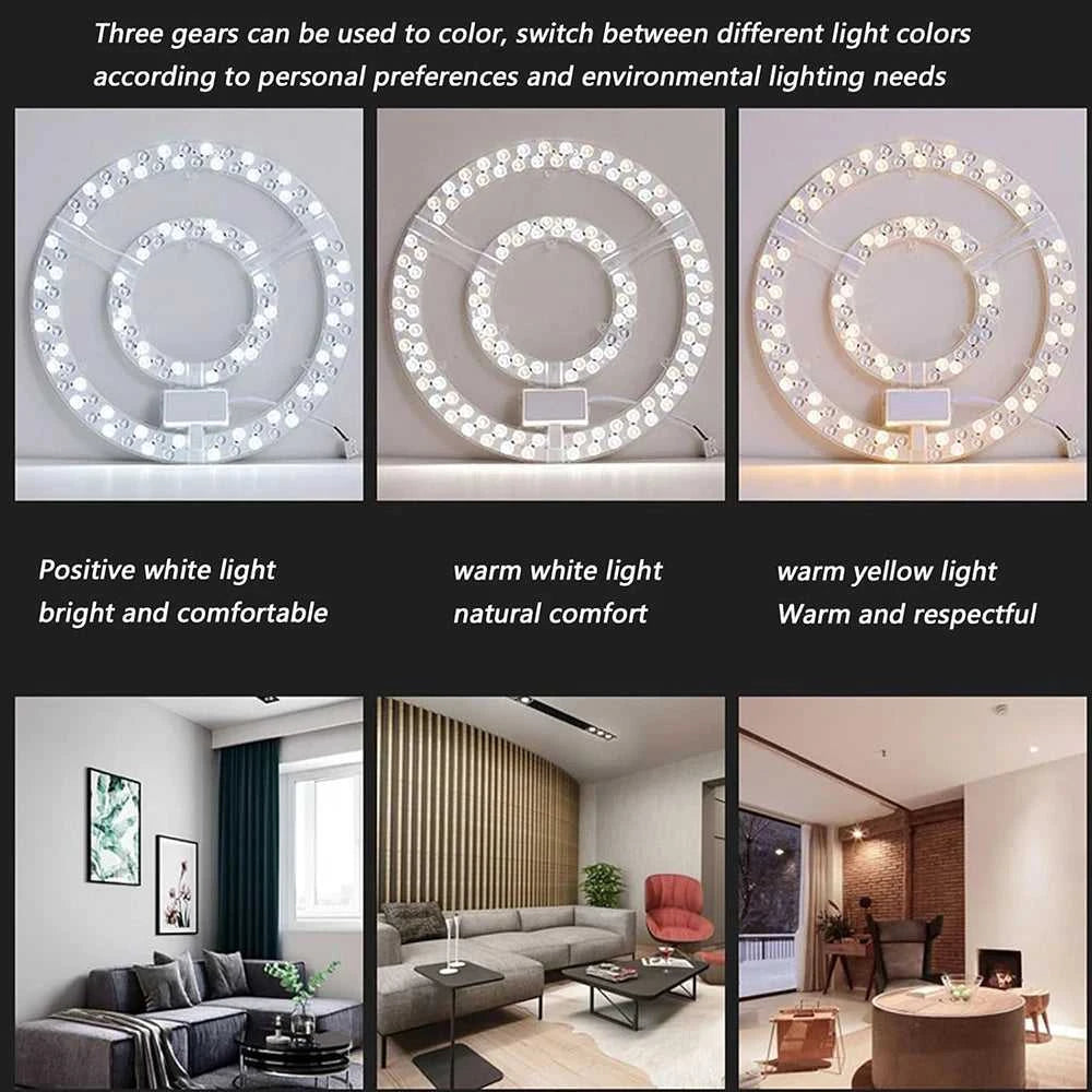 Led Panel Ceiling Light 48W 96W 120W Panel Led Round Replacement Module AC220V-240V Stepless Dimmable Led Module The jack market .AU The jack market .AU Home $ 61 136:1052#96W Dimmable color;200007763:201336100