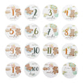 Baby Bear Milestone Number Monthly Memorial Cards Newborn Birthday Gifts Souvenir Newborn Birth Photo Photography Accessories