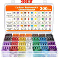 100pcs Standard Car Fuses 2A 3A 5A 7.5A 10A 15A 20A 25A 30A 35A Free Matching Choice Car Fuses Blade Fuses for RV/Truck/SUV