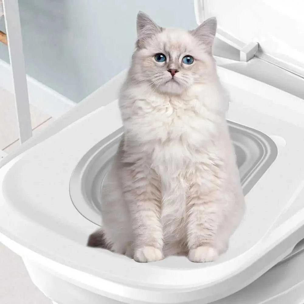 Universal Cat Toilet Training Kit With Any Cat Reusable Cats Dogs Potty Training Seat Pets Cleaning Cats Training Product The jack market .AU The jack market .AU Home $ 51 14:173#Blue;200007763:201336100