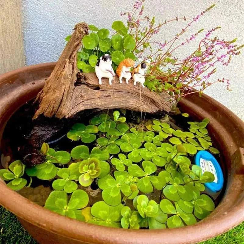 Fish Landscaping Cartoon Fishing Ornaments Aquarium Accessories Household Supplies Home Office Decoration The jack market .AU The jack market .AU Fishing Gear $ 20 14:200006154#D