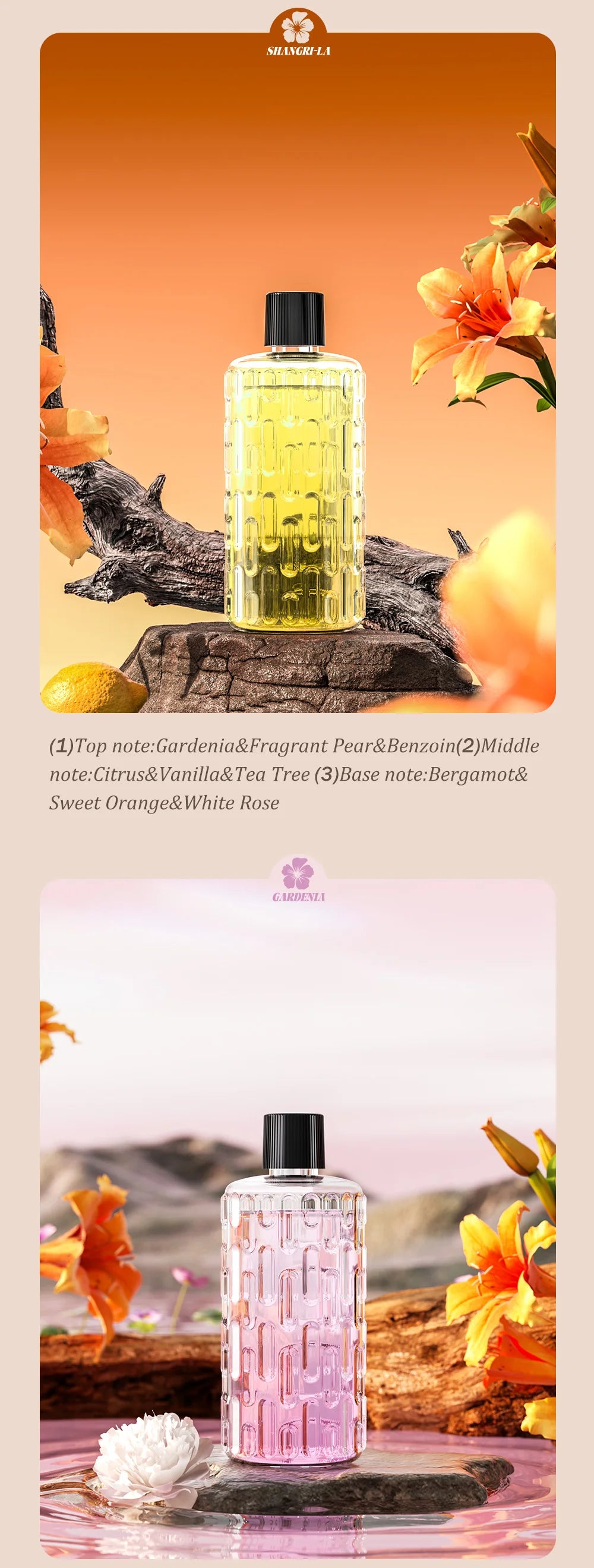 Automatic aromatherapy diffuser for eliminating odors, suitable for household use, with essential oil for air freshening. - Jack market 1988Jack Market 1988