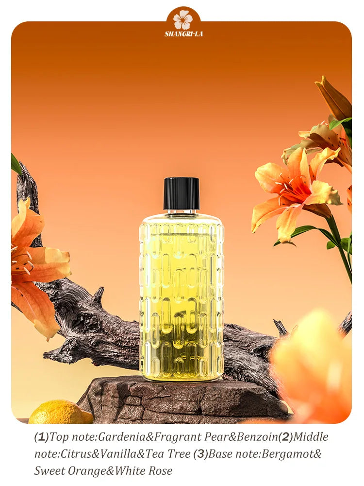 Automatic aromatherapy diffuser for eliminating odors, suitable for household use, with essential oil for air freshening. - Jack market 1988Jack Market 1988