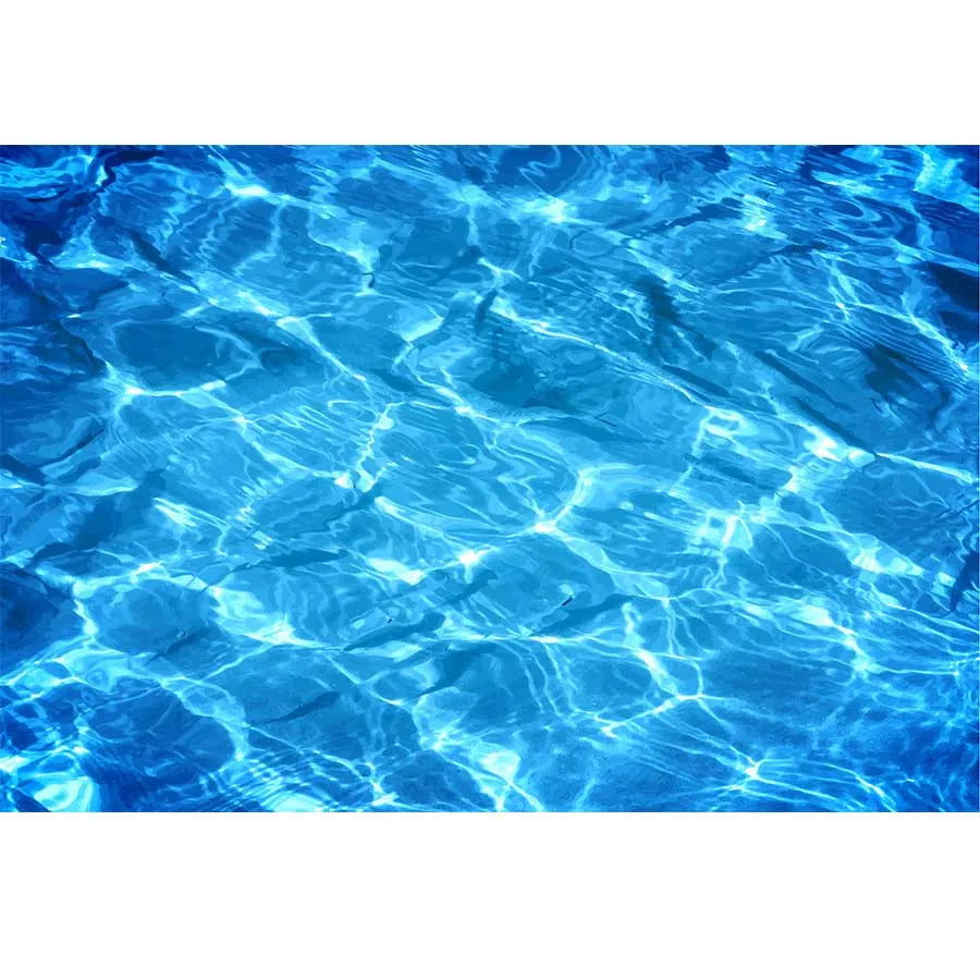 Underwater World Dolphin Coral Seaweed Seabed Aquarium Theme Photography Background Children Birthday Party Decor Backdrop