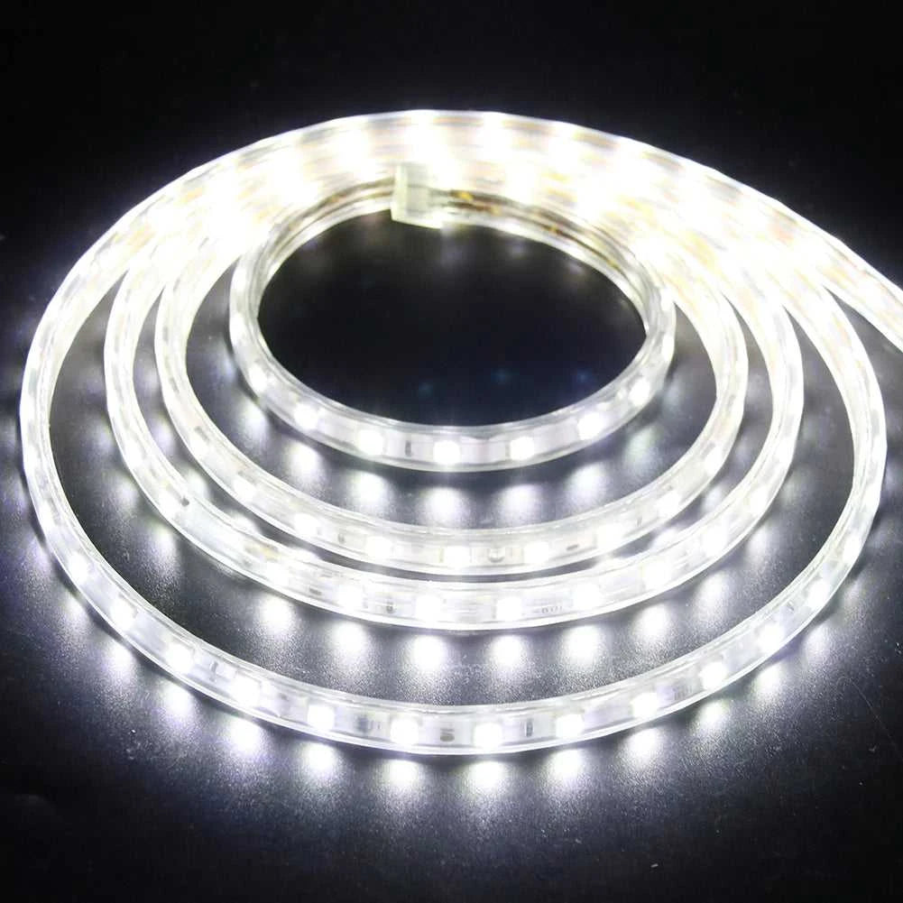 AC 220V LED Strip 60LEDs/m 5050 IP67 Waterproof Outdoor Decoration Red Green Blue Yellow White Flexible Ribbon Tape LED Strip The jack market .AU The jack market .AU Home $ 68 136:29;14:29#EU 220V;200007763:201336100;249:200006309#5m