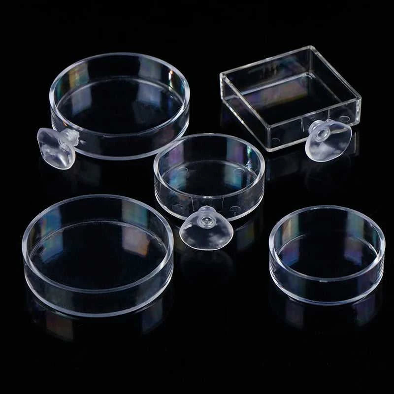 【F】Aquarium Feeder Acrylic Transparent Fish Round Square Dishes Shrimp Food Box Fish And Shrimp Feeding Accessories The jack market .AU The jack market .AU Fishing Gear $ 22 14:691#E