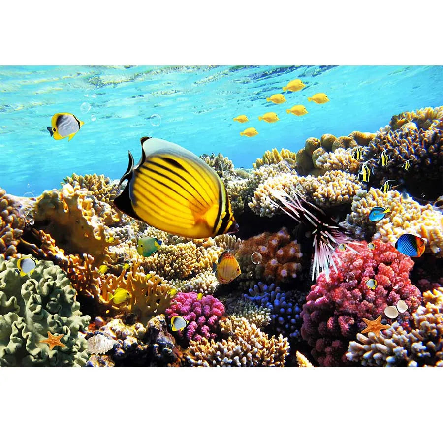 Underwater World Dolphin Coral Seaweed Seabed Aquarium Theme Photography Background Children Birthday Party Decor Backdrop