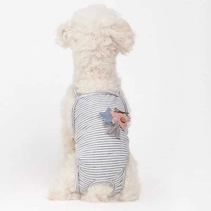 Female Dog Diapers Physiological Pants Strips Cat Dog Jumpsuit Panties Shorts Underwear Puppy Menstruation Briefs Supplies S-XL The jack market .AU The jack market .AU Home $ 25 14:366;5:100014065#L