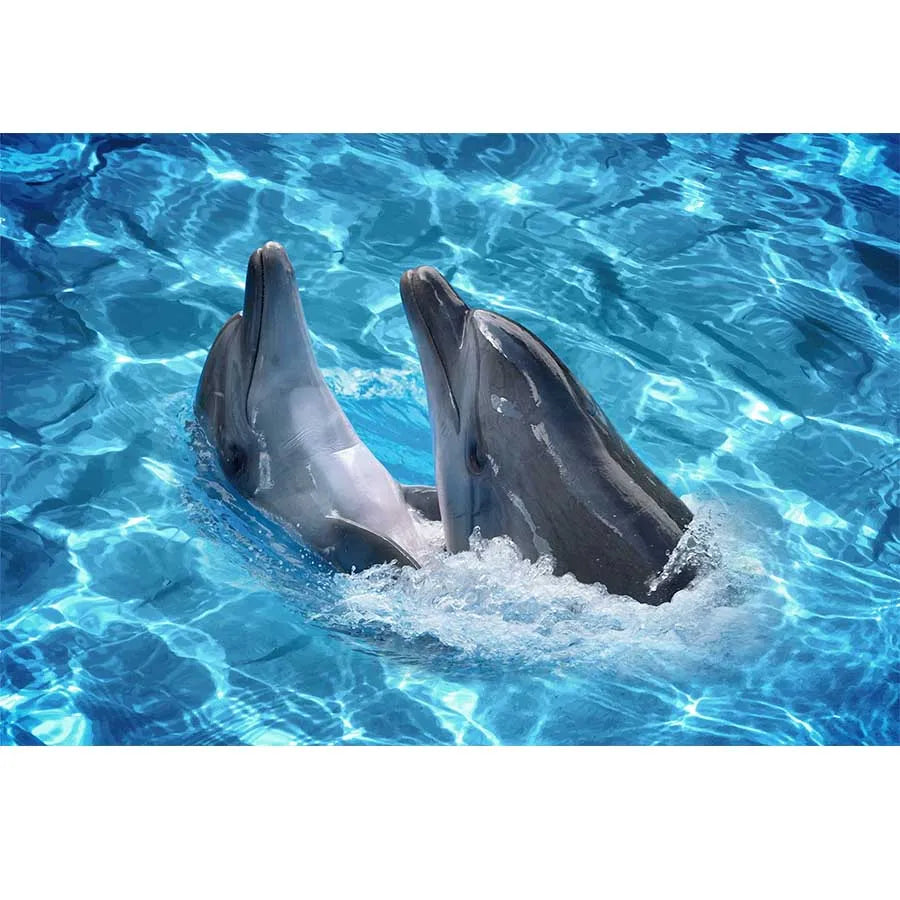 Underwater World Dolphin Coral Seaweed Seabed Aquarium Theme Photography Background Children Birthday Party Decor Backdrop