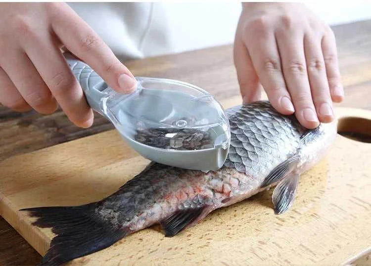 Fish Scale Scraper Fish Skin Brush Seafood Tools Fast Remove Fish Scraper Cleaning Knife Kitchen Accessories The jack market .AU The jack market .AU Fishing Gear $ 23 14:175#Green