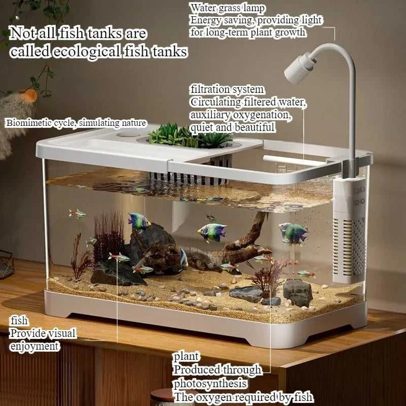 Fish tank household aquarium living room desktop ecological circulation tank filter oxygenation integrated tank with cover The jack market .AU The jack market .AU Fishing Gear $ 54 14:200006152#Large 3