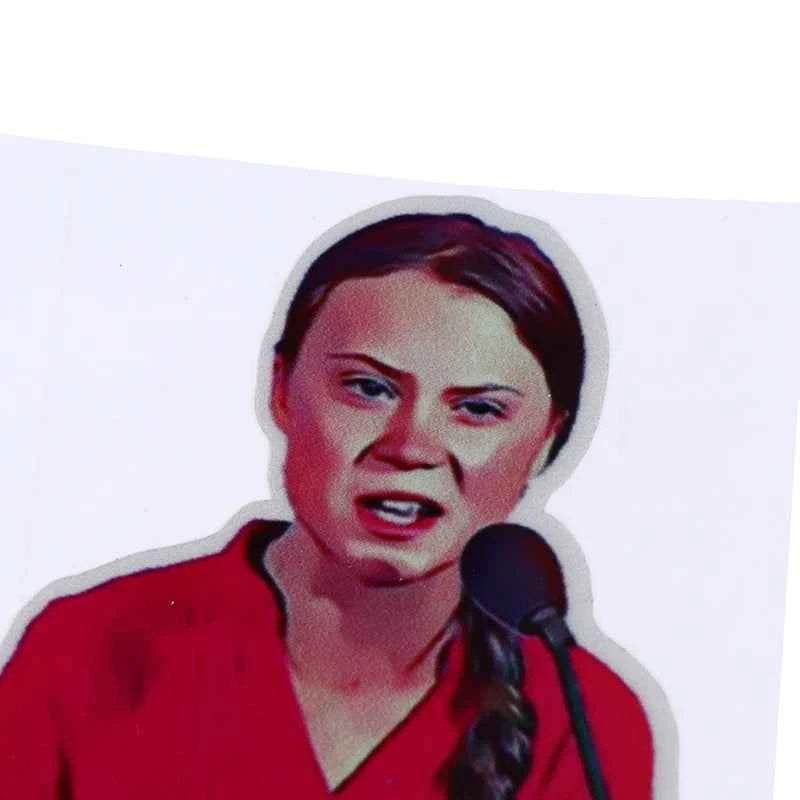 2pcs 8*8cm How Dare You Greta Thunberg Vinyl Decal Sticker Window Truck Car