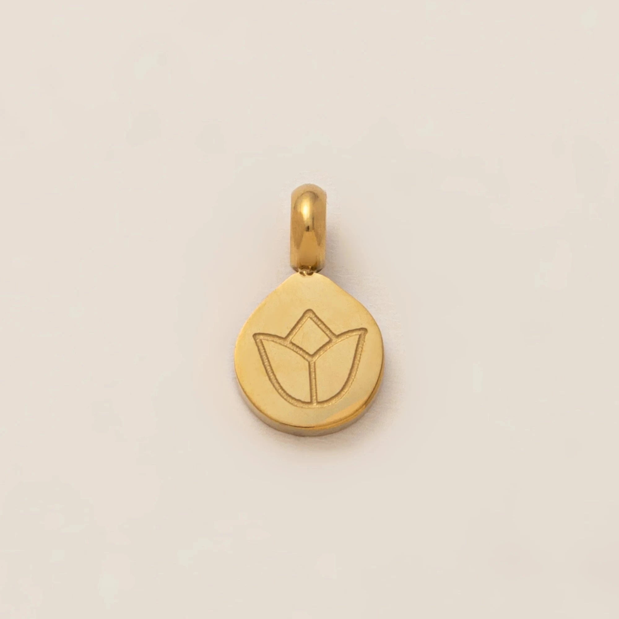 1PC stainless steel plated 18K gold pendant, can bring lucky pendant, DIY jewelry accessories first The jack market .AU The jack market .AU Jewellery & Chains $ 47 200001033:865#style 2;200007763:201441035