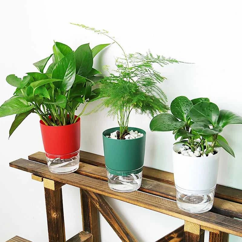 Watering Planter Handmade 2 Layer Self Watering Plant Flower Pot Water Container Round Flowerpot Home Garden Decor Dropshiping The jack market .AU The jack market .AU Home $ 21 14:29#green