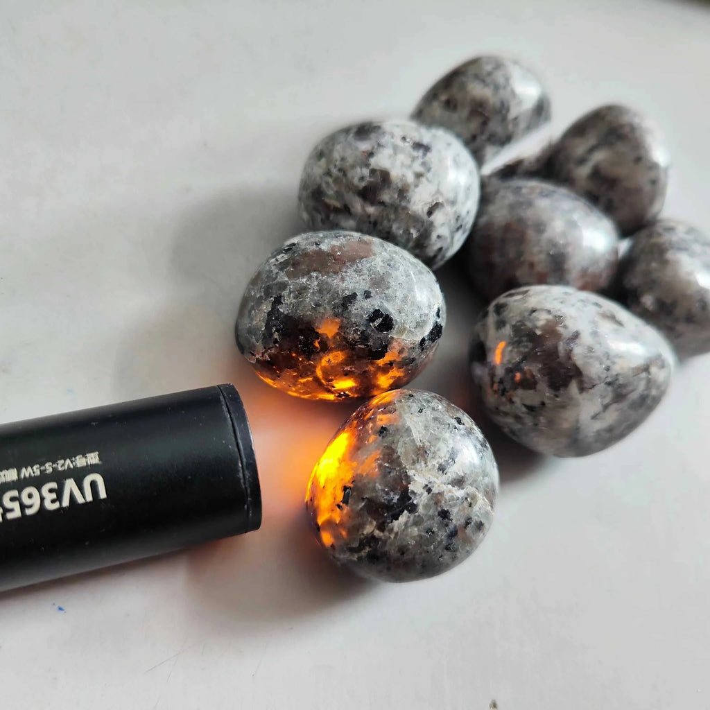 Natural Bright Yooperlites Flamestone UV Glowing Crystal Stone FireStone Fluorescent Sodalite Flame Stone Home Decoration Stone The jack market .AU The jack market .AU Home $ 22 14:200006152#about 100g;200007763:201336100;5:100014064#2-3cm