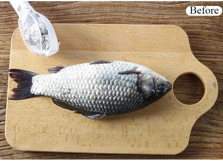 Fish Scale Scraper Fish Skin Brush Seafood Tools Fast Remove Fish Scraper Cleaning Knife Kitchen Accessories The jack market .AU The jack market .AU Fishing Gear $ 23 14:175#Green