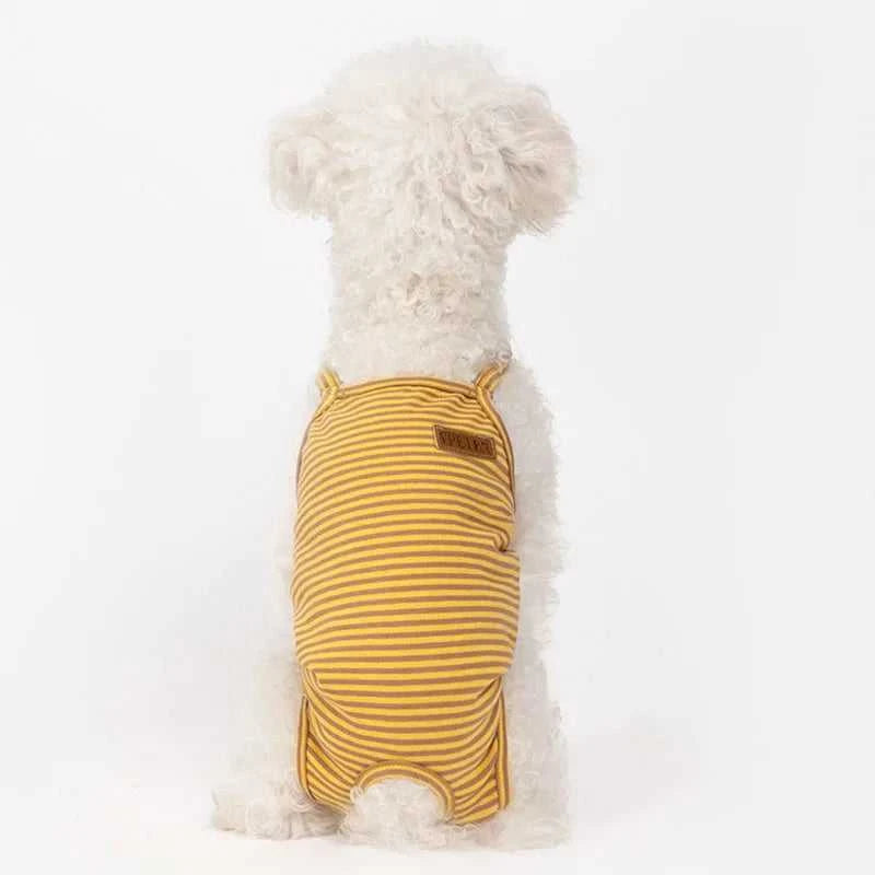 Female Dog Diapers Physiological Pants Strips Cat Dog Jumpsuit Panties Shorts Underwear Puppy Menstruation Briefs Supplies S-XL The jack market .AU The jack market .AU Home $ 25 14:366;5:100014065#L
