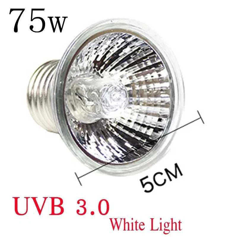 220V 25/50/75W UVA+UVB Reptile Lamp Bulb Turtle Basking UV Light Bulbs Heating Lamp Amphibians Lizards Temperature Controller The jack market .AU The jack market .AU Home $ 22 14:200002984#50W red light UVA