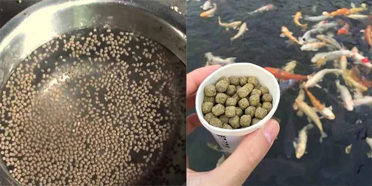 Fish Food Floating Fish Feed Mill Pallet Pellet Extruder Granule Making Machine for Salmon Fish Feed The jack market .AU The jack market .AU Fishing Gear $ 4072 <none>