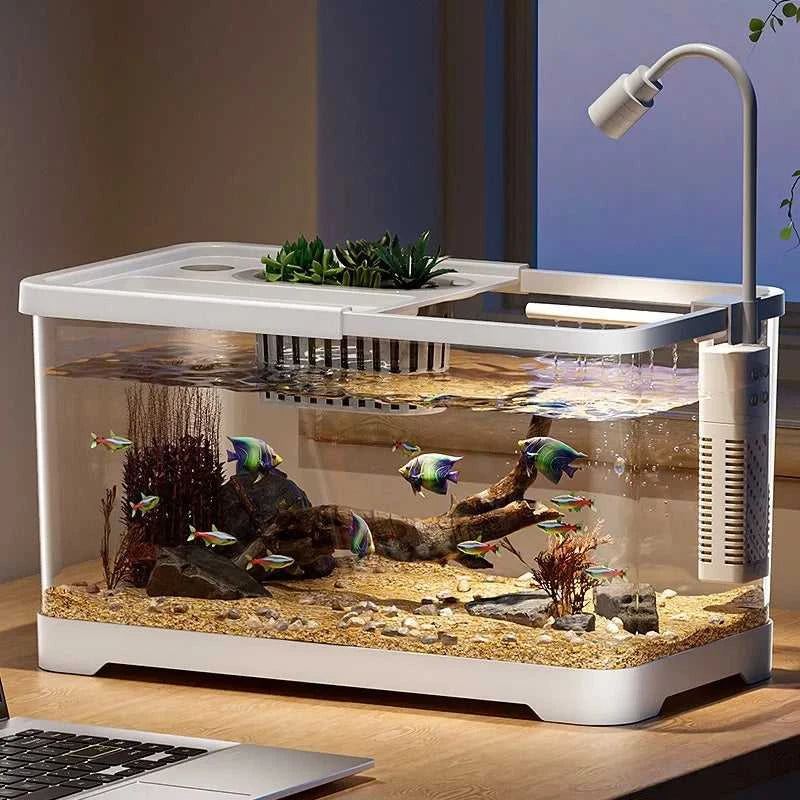 Fish tank household aquarium living room desktop ecological circulation tank filter oxygenation integrated tank with cover The jack market .AU The jack market .AU Fishing Gear $ 54 14:200006152#Large 3