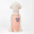 Female Dog Diapers Physiological Pants Strips Cat Dog Jumpsuit Panties Shorts Underwear Puppy Menstruation Briefs Supplies S-XL The jack market .AU The jack market .AU Home $ 25 14:366;5:100014065#L