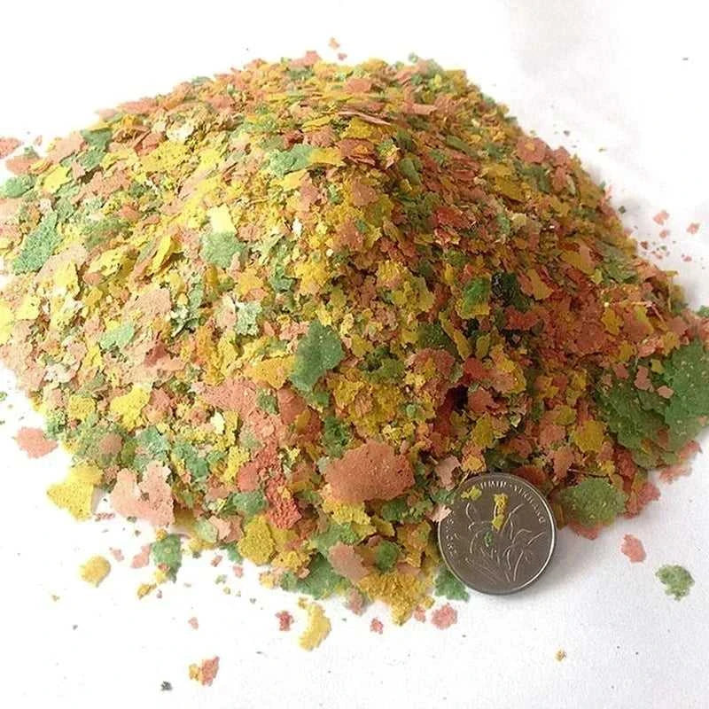 100g/pack Tropical Ornamental Fish Thin Slice Food Aquarium Fish Feed Fish Seedling Fattening Food Family Fishing Accessories The jack market .AU The jack market .AU Fishing Gear $ 24 14:29#A