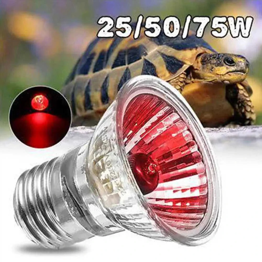 220V 25/50/75W UVA+UVB Reptile Lamp Bulb Turtle Basking UV Light Bulbs Heating Lamp Amphibians Lizards Temperature Controller The jack market .AU The jack market .AU Home $ 22 14:200002984#50W red light UVA