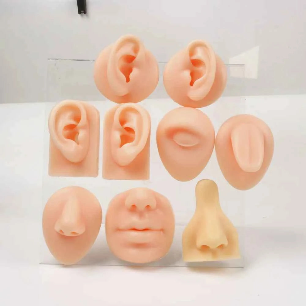 Soft Silicone Simulation Ear Nose Lip Tongue Models 3D Body Piercing Practice Parts for Piercing,Tattooing,Acupuncture Practice