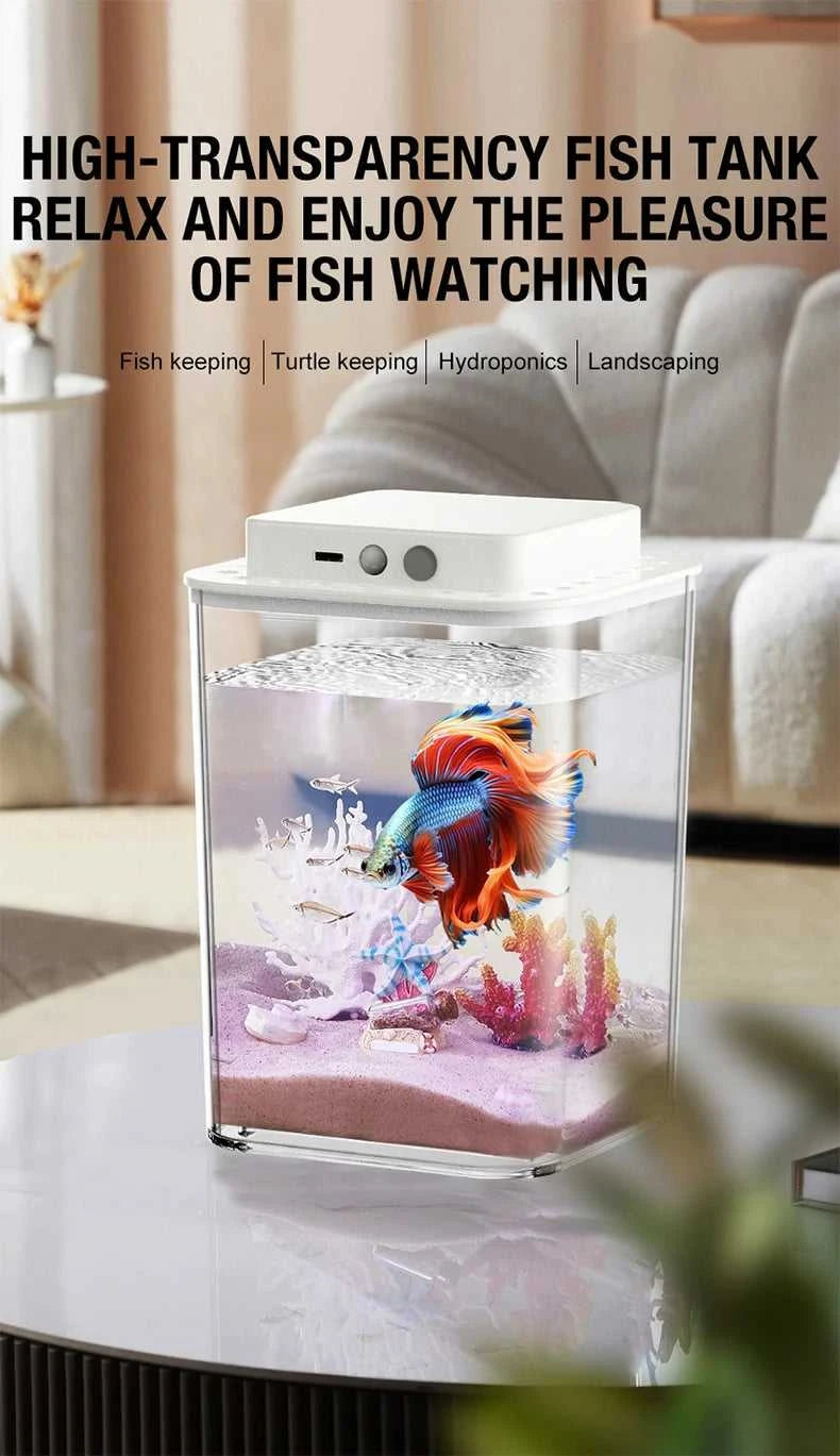 Desktop fish tank, new aquarium, lazy person, no water change, self circulating ecological fish tank, living room, small ecologi The jack market .AU The jack market .AU Fishing Gear $ 34 14:100018786#black