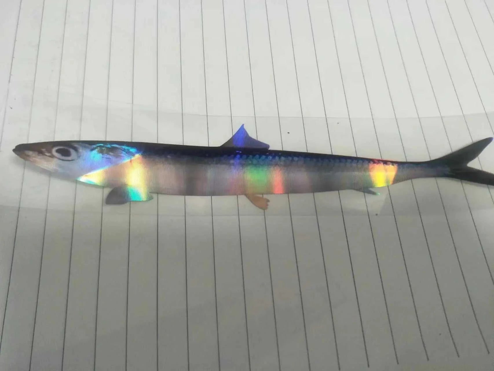 Fishing lures for sea fishing, 12 fish The jack market .AU The jack market .AU Fishing Gear $ 47 14:29#katongyu;5:8022#7inches